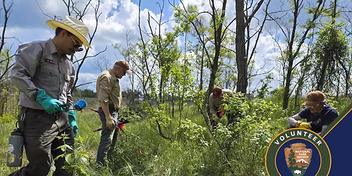 Volunteering Porter Beach Restoration