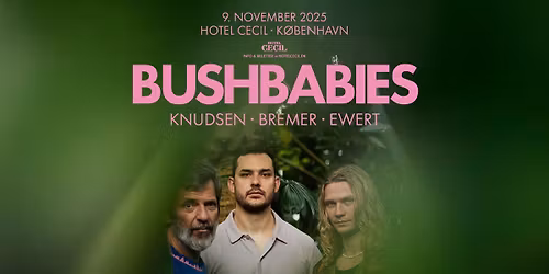 Bushbabies - Knudsen \u00b7 Bremer \u00b7 Ewert | Hotel Cecil, K\u00f8benhavn