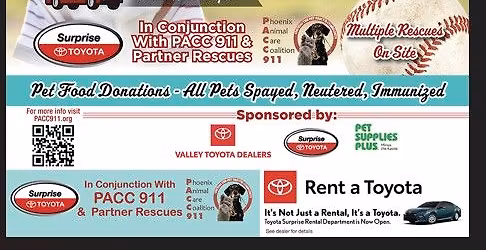 Adoptathon Toyota of Surprise