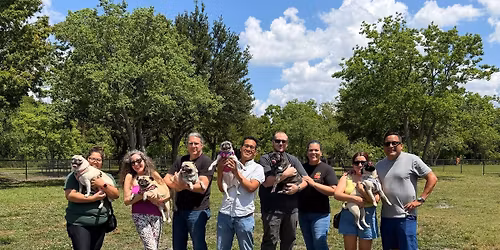 May Pug Meet-Up