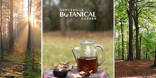 Forest Therapy Class: Forest Bathing