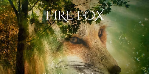 Fire Fox Journey : Universal Medicine Wheel