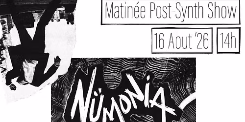 Spectacle Synth Pop\/New Wave avec Du D\u00e9sastre + N\u00fcmonia 