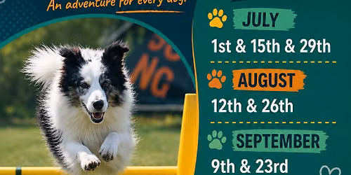 \ud83d\udc3e Canine Adventure Course \ud83d\udc3e