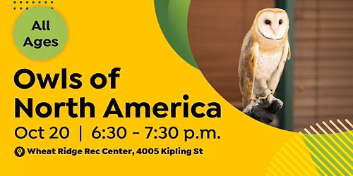 Owls of North America