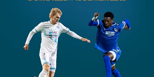 USL 1 Soccer Finals Watch Party with Sarasota Paradise