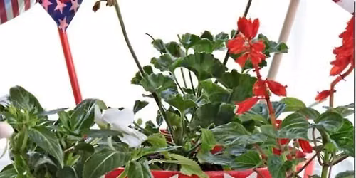 Show Me 250: Paint Your Own Patriotic Flower Pot