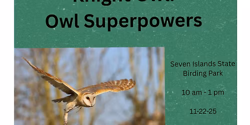 Knight Owl: Owl Superpowers