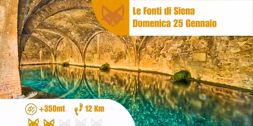 Le Fonti di Siena