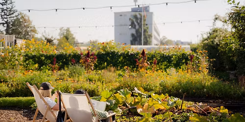 \ud83e\udde1Garden Sunday in \u00d8ens Have\ud83c\udf3f