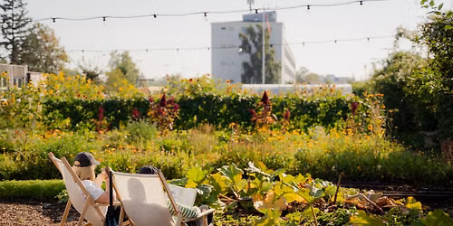 \ud83e\udde1Garden Sunday in \u00d8ens Have\ud83c\udf3f