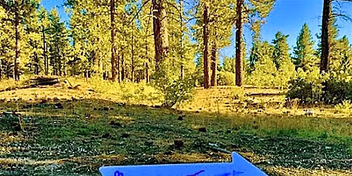 Mindful Writing in Nature: Using Yoga to Access your Creative Self.