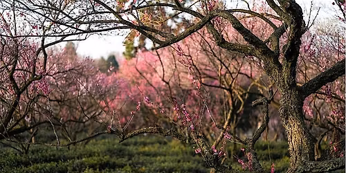 Spring Cider Hike \u2013 April 4 @ 1:00 p.m.