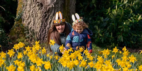 Helfa W\u0177 Pasg yn Llanerchaeron | Easter Egg Hunt at Llanerchaeron