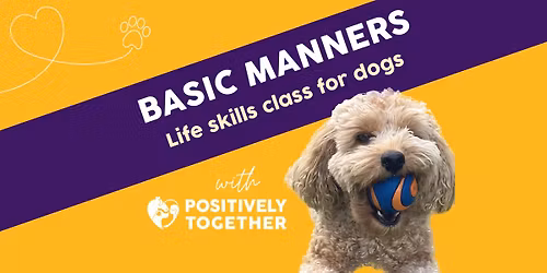 Basic Manners dog training class