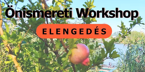 \u00c9letT\u00e9rK\u00e9pe - Elenged\u00e9s