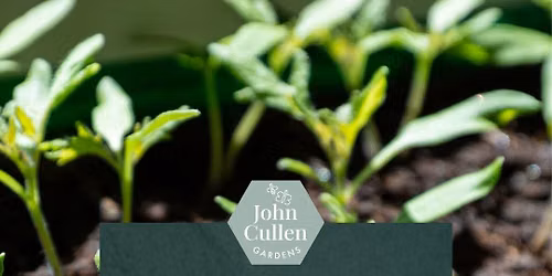Creative Workshops Weekend - Plant Propagation Workshop July 2026