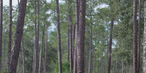 Long Haul 100 Ultramarathon