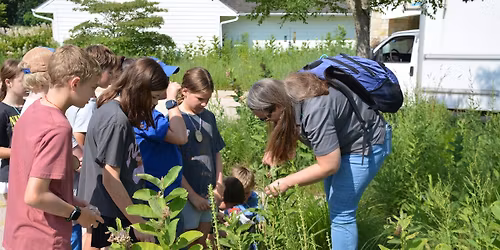 Summer Camp - Nature's Superheroes