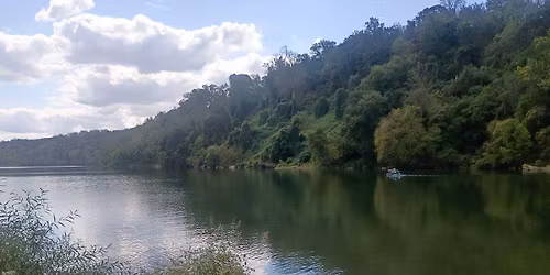 Birding Lake Artemesia