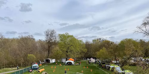 Nejdeck\u00fd trojskok II. s JK Animals