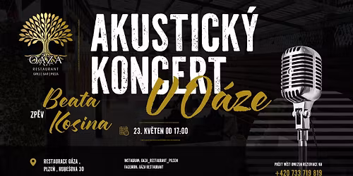 AKUSTICK\u00dd VE\u010cER V O\u00c1ZE