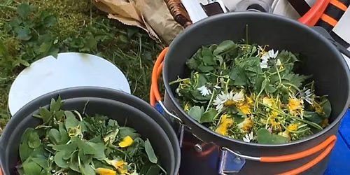 JANE'S WALK 28: Foraging in the Footsteps of the Invading Roman Army at Lexden