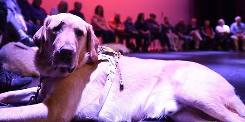 Dog\u2019s Life \u2013 audio theatre in the dark