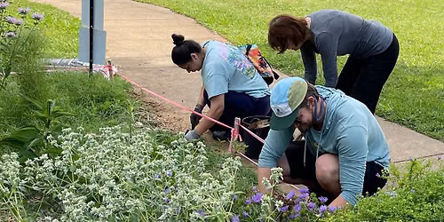 Pollinator Pitstop Garden Workday
