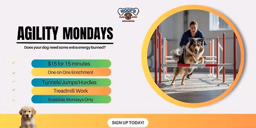 Agility Mondays