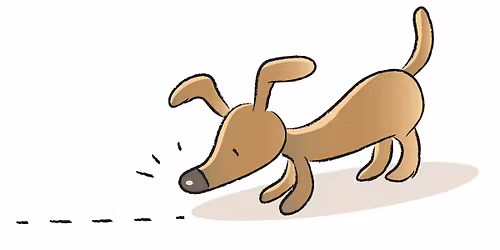 Calm Canine Scent Detectives - Suitable for all ages & abilities, starting Tuesday January 13th @ 6.