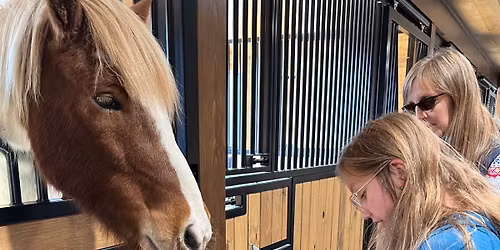 Summer Read to a Horse