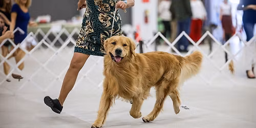 IABCA's 2026 Peach State Summer Sieger Int'l All-Breed & Rare Breed DOG SHOW