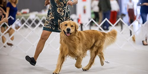 IABCA's 2026 Peach State Summer Sieger Int'l All-Breed & Rare Breed DOG SHOW