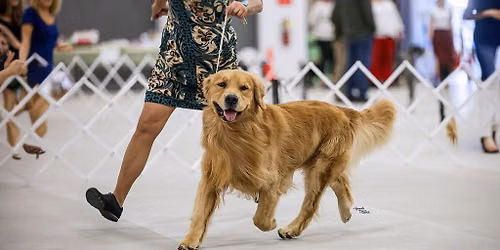 IABCA's 2026 Peach State Summer Sieger Int'l All-Breed & Rare Breed DOG SHOW