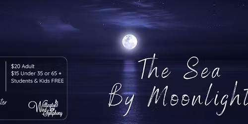 The Sea by Moonlight