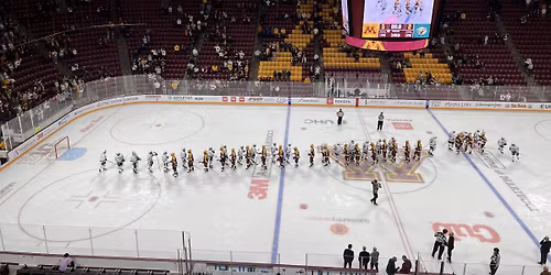 Minnesota Golden Gophers at Bemidji State Beavers Mens Hockey (Exhibition)