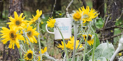 Syrup Workshop at Roast House Coffee