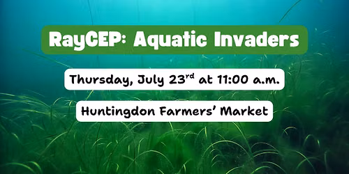 RayCEP: Aquatic Invaders