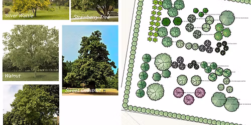 Agroforestry systems inc Forest Gardens  for food production