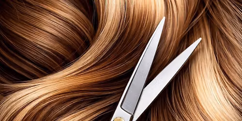 Hattori Hanzo Shear\u2019s Hair Class