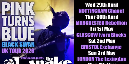PINK TURNS BLUE\u00a0- The Black Swan Tour | Bristol
