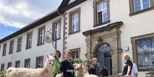 Alpakawanderung im Fackellicht