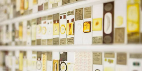 Research in Focus