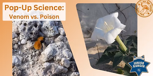 Pop-Up Science: Venom vs. Poison