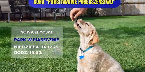 Kurs Podstawowego Pos\u0142usze\u0144stwa dla ps\u00f3w od 5 m.\u017c.