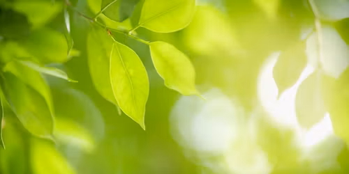 Wiosna Onkologiczna 2026 \u2013 XVIII Konferencja Krakowskiego Komitetu Zwalczania Raka