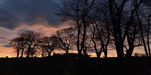 Rest and Reflection - A Day of Mindfulness with The Wild Geese Sangha of Edinburgh