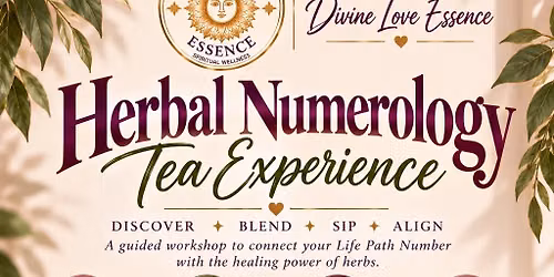 Herbal Numerology Tea Experience