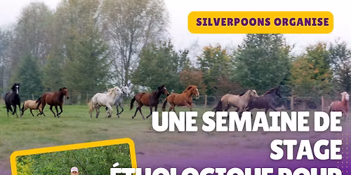 Stage d'\u00e9quitation \u00e9thologique pour ados (internat ou externat)